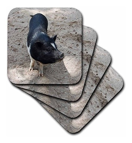 3drose Cst 4327 1 Black And White Pig Soft Coasters, Set Of 