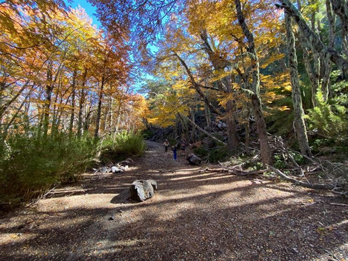 Sitio En Venta En Valle Las Trancas En Termas De Chillán