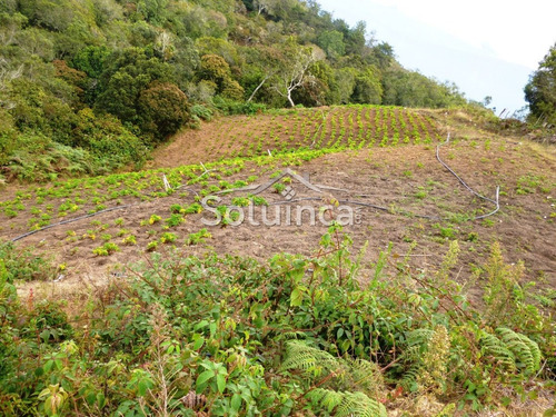 Imagen 17 de 18 de Haciendas - Finca En Venta, Mérida