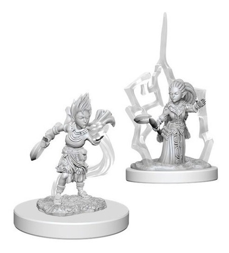 Pathfinder Minis: Wave 5 - Gnome Female Druid - Sin Pintar