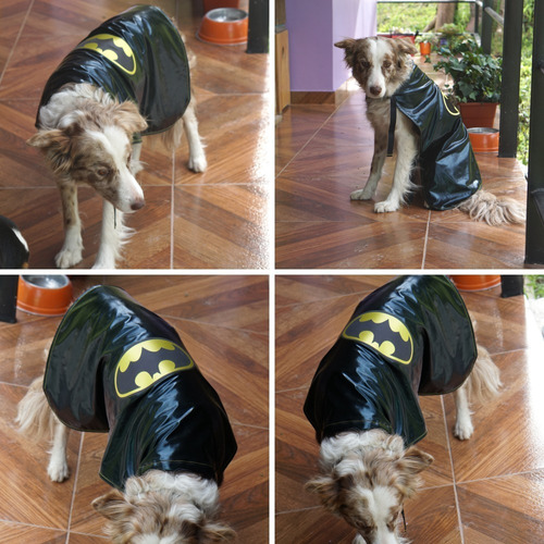 Capa Super Héroes Disfraz Super Pets Perro O Gato Talla 1