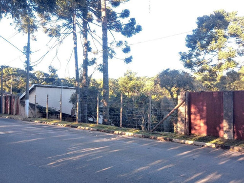 Imagem 3 de 13 de Terreno No Alto Da Boa Vista Próximo Ao Museu Felícia Lenner - 1