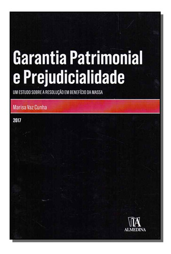 Libro Garantia Patrimonial E Prejudicialidade De Cunha Ana M