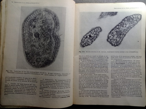 Manual De Microbiología Médica - Jawetz, Melnick Y Adelberg (Usado)