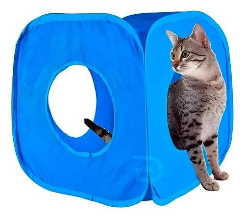 Casa De Juegos Interactiva Para Gatos Cubo Plegable Gatitos