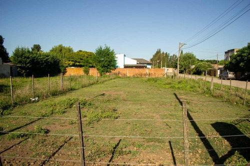 Imagen 2 de 8 de Dos Lotes Se Venden En Conjunto O Por Separado En Lobos