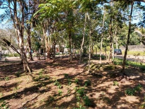 Imagem 5 de 14 de Chácara No Jardim Coronel Em Itanhaém