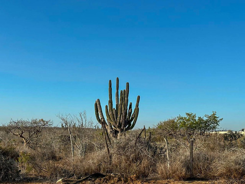 Lot 1 Mz 9 Federal Highway, Lote Migriño