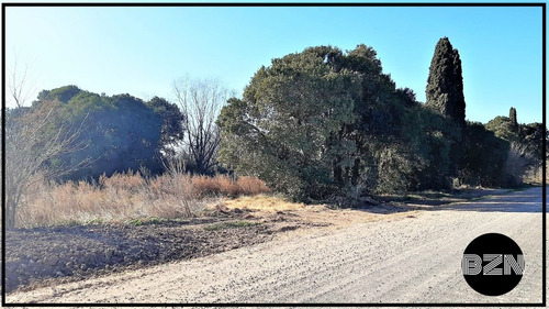 Imagen 7 de 8 de Campo 4 Hectareas En Arrecifes.