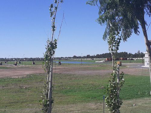 Imagen 15 de 24 de Espetacular | Lote En Carpinchos