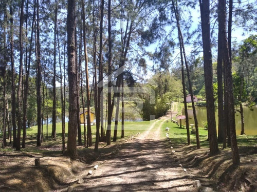 Imagem 10 de 30 de Lindo Sítio Em Juquitiba Com Imenso Lago, Piscina, Nascentes - 92 - 70323419