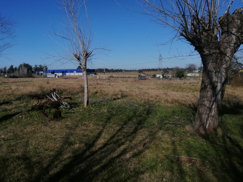 Imagen 11 de 12 de Chacra 1.5 Hectarea En Venta - 75 Metros De Frente A La Ruta 102 Km 38.500