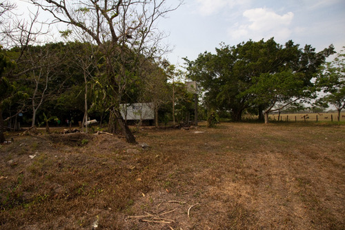Empacadora-bodega En Venta En Chontalpa, Huimanguillo, Tabasco