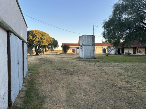 Vendo Chacra En Colonia Uruguay Gran Oportunidad