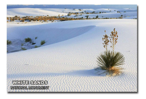 Sands National Monument Travel Paisaje Refrigerador X