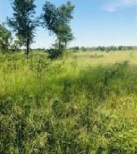 Imagen 7 de 18 de Venta Campo Mixto En Santiago Del Estero