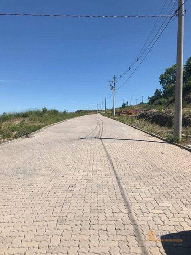 Imagem 4 de 11 de Terreno À Venda, 1706 M² Por R$ 650.000,00 - Mariland - Caxias Do Sul/rs - Te0253