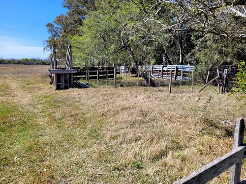 Imagen 4 de 10 de 6.5 Has Chacra - Atalaya, Magdalena, Buenos Aires