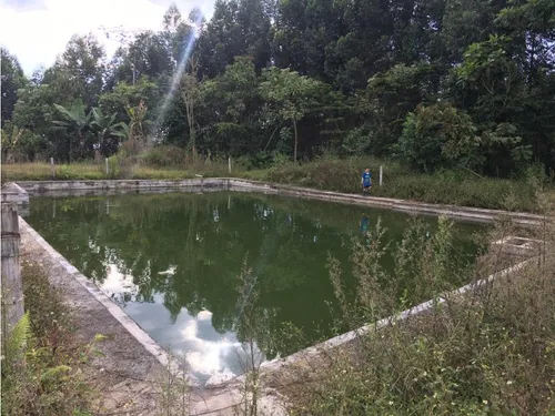 Vendo Finca En Tarapaca 80 Cuadras, Santa Rosa, Risaralda
