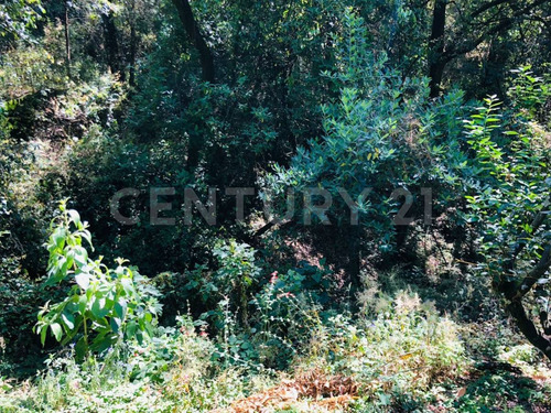 Terreno Venta Cocuatla Tepoztlan San Juan Tlacotenco Ocotes Tepoztlan Morelos
