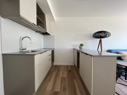 Imagen 3 de 23 de Venta Apartamento Penthouse Monoambiente Con Parrillero
