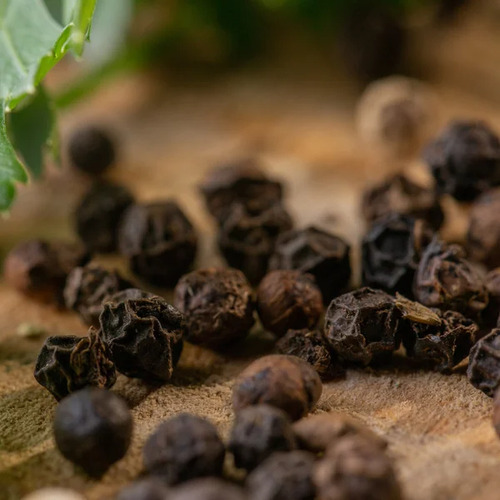 Pimenta Do Reino Em Grão 500g- Estufa Premium
