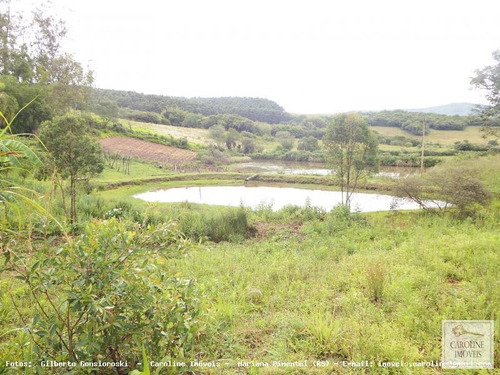 Imagem 10 de 15 de Sítio / Chácara Para Venda Em Mariana Pimentel, Outros - 1164_1-828276