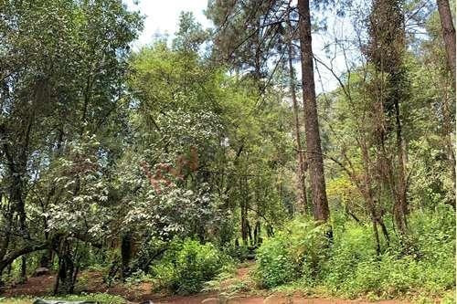 Imagen 21 de 22 de Venta De Terreno En Valle De Bravo Con Desarrollo De Rancho