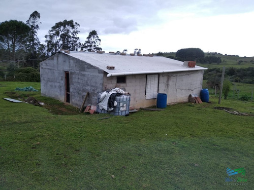 Imagen 4 de 30 de Vendo Excelente Chacra De 39 Hectáreas Para Granja Turística O Tambo, Aigua, Punta Del Este - Aiguá Aiguá