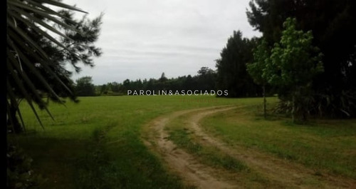Chacra En Venta De 5 Dormitorios En La Barra- Ref: 4143