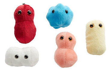 Peluche Enfermedades Comunes Giantmicrobes