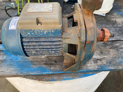 Bomba De Agua Maden In Italy (Usado)