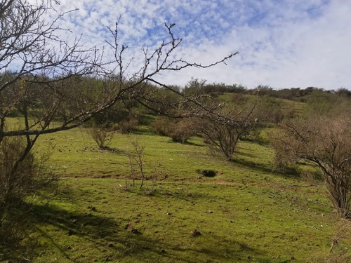 Bella Parcela En Venta En Las Cabras 5.000 M2