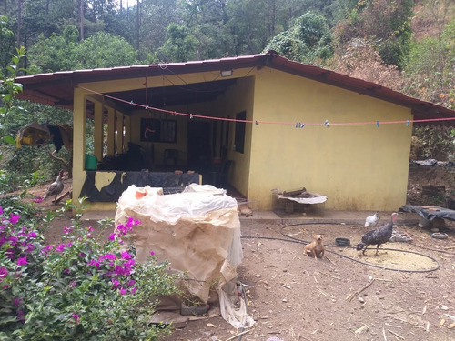 Rancho En Venta, Tiztzio Michoacán.