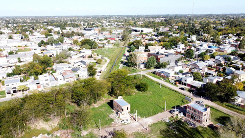 Lotes En Venta Calle 42 Y 149, San Carlos I Barrio Liquidámbar