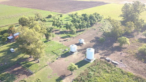 Campo En Venta En F. Madero - Agricola /ganadero