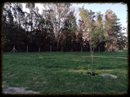 Imagen 4 de 6 de Lote De 612 M2, Interno, Fondo Al Bosque En El Barrio Santa Isabel, Etapa 2.