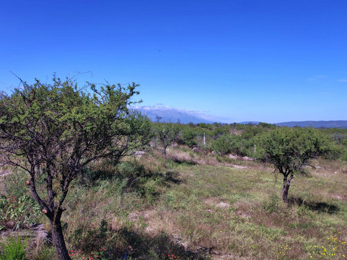 Venta Bellísimo Terreno En Arroyo De Los Patos Financiado