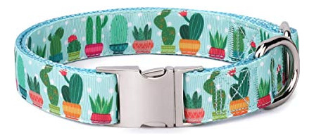Waaag Pet Supplies, (cactus And Succulents) Cat Pwkbj