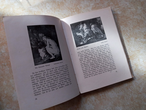 Livro - Rubens (Usado)
