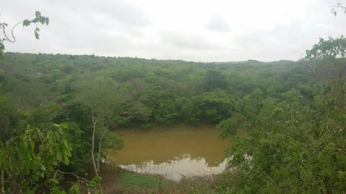Imagen 13 de 14 de Finca En Venta En San Jose De Guaribe