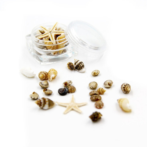 Aro De Uñas Para Decoración Náutica De Estrella De Mar De Co
