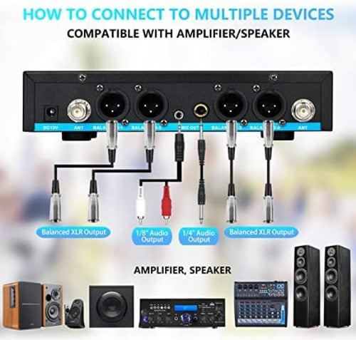 Zerfun Pro Sistema De Micrófono Inalámbrico Recargable De 4