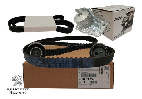 Distribucion + Bomba Dolz + Poly V Citroen Picasso 2.0 Hdi