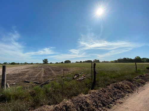 Terreno En Venta En Villa Parque Sicardi 660 Y 13 Bis