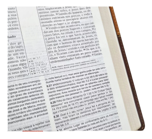 Bíblia De Estudo | Com Mapas E Concordância | Nvi | Capa Luxo Marrom | Editora Vida