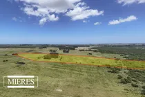 Comprar Campo En Garzon 19has (ref: Atm-6777)