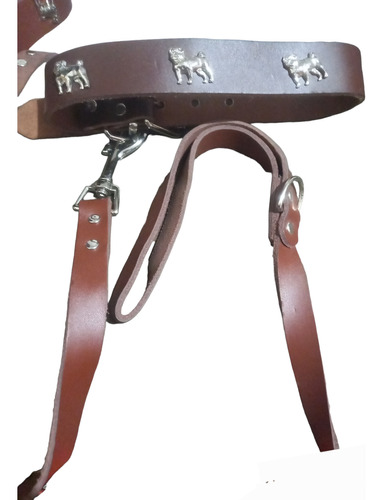 Duo Collar Y Traílla Sintético Perro Cuello De 43cm A 50cm 