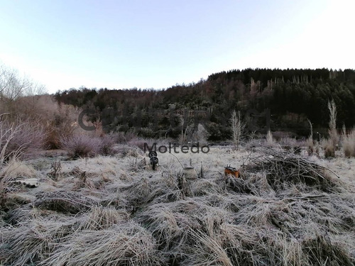 Imagen 4 de 8 de Excelente Terreno De 6000m2 - San Martin De Los Andes - Patagonia