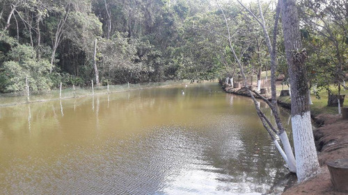 Imagem 2 de 30 de Chácara Residencial À Venda, Canjicas, Arujá - Ch0054. - Ch0058